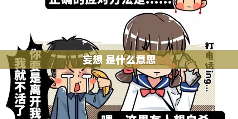 妄想 是什么意思