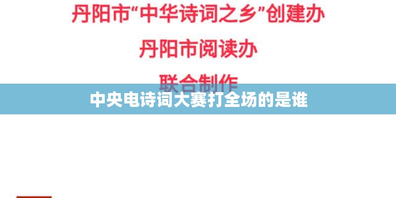 中央电诗词大赛打全场的是谁