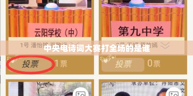 中央电诗词大赛打全场的是谁