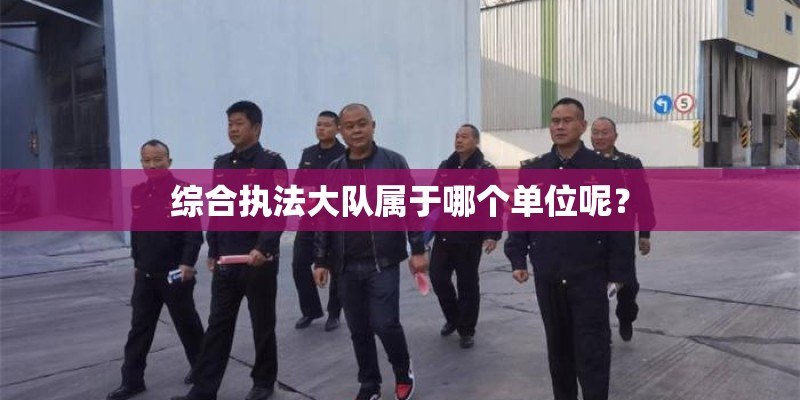 综合执法大队属于哪个单位呢？