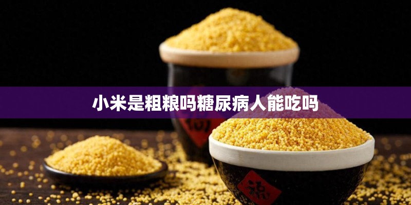 形容城市夜景的成语有哪些？