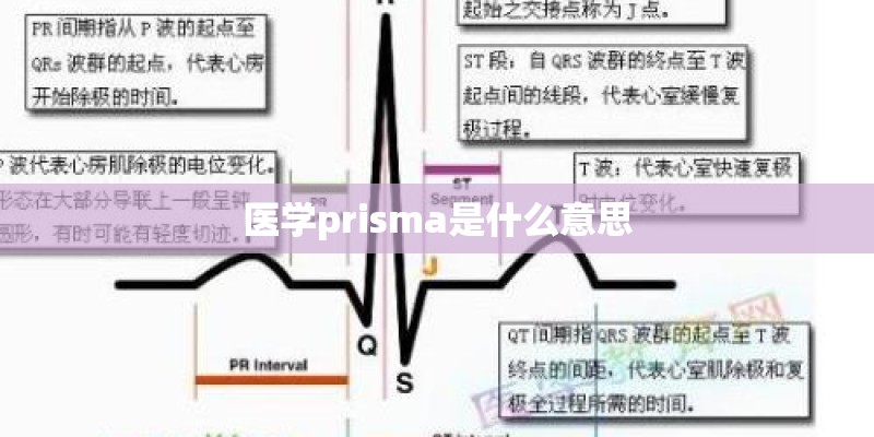 医学prisma是什么意思