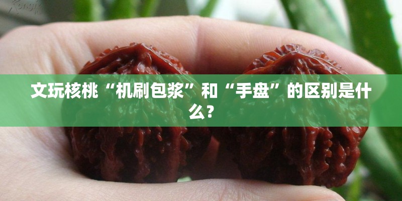 文玩核桃“机刷包浆”和“手盘”的区别是什么？