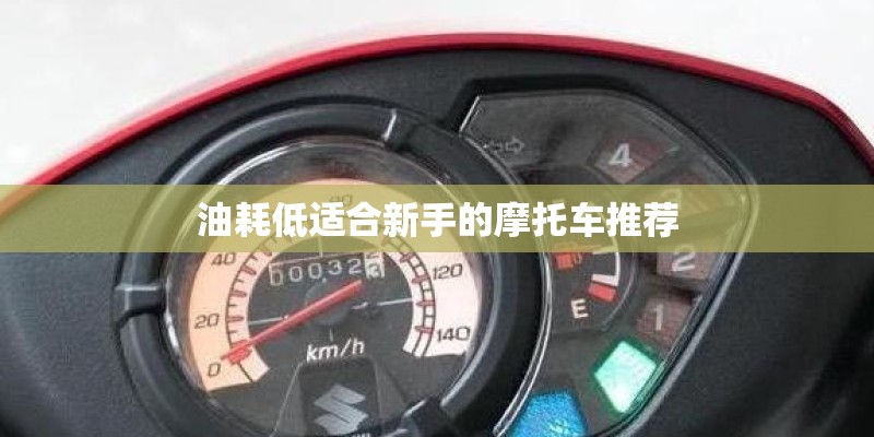 油耗低适合新手的摩托车推荐
