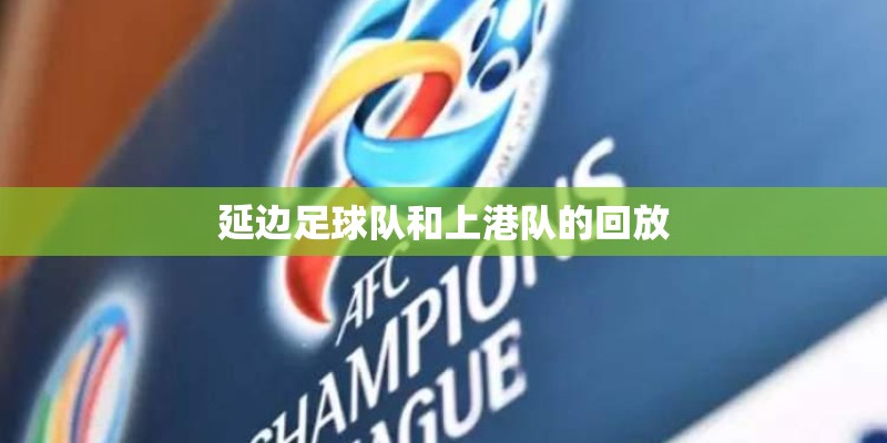 延边足球队和上港队的回放