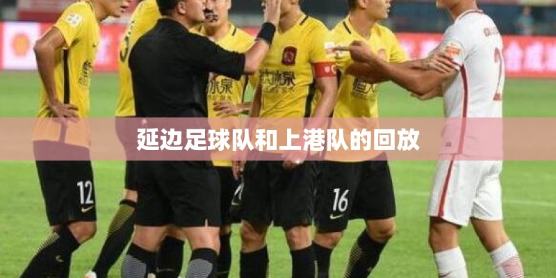 延边足球队和上港队的回放