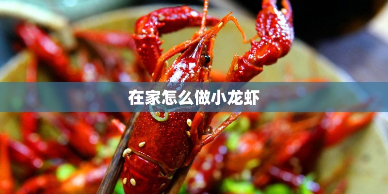怎样开通qq秀的QQ咒语？