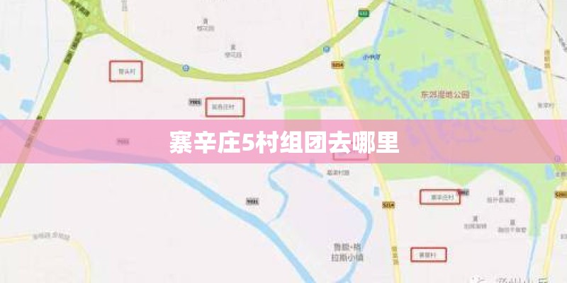 寨辛庄5村组团去哪里