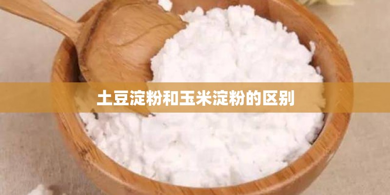 土豆淀粉和玉米淀粉的区别