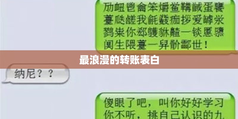 最浪漫的转账表白