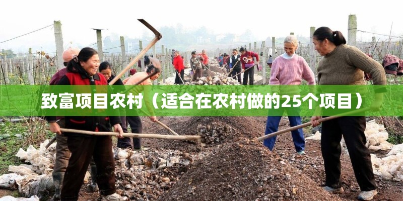 致富项目农村（适合在农村做的25个项目）