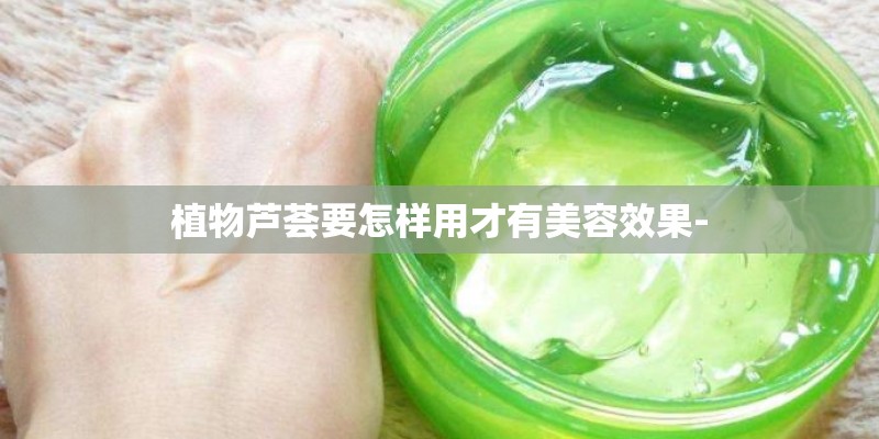 植物芦荟要怎样用才有美容效果-