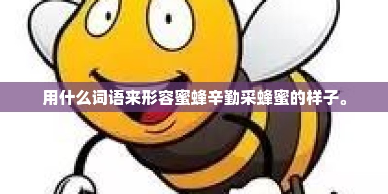 用什么词语来形容蜜蜂辛勤采蜂蜜的样子。