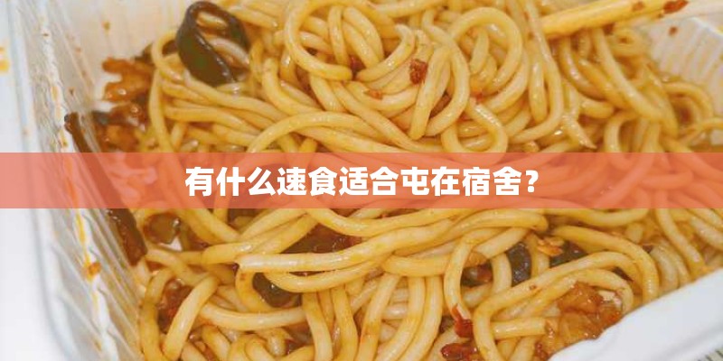 有什么速食适合屯在宿舍？