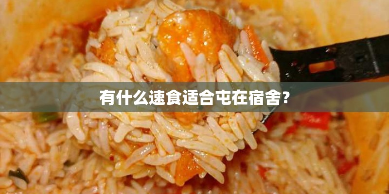 有什么速食适合屯在宿舍？
