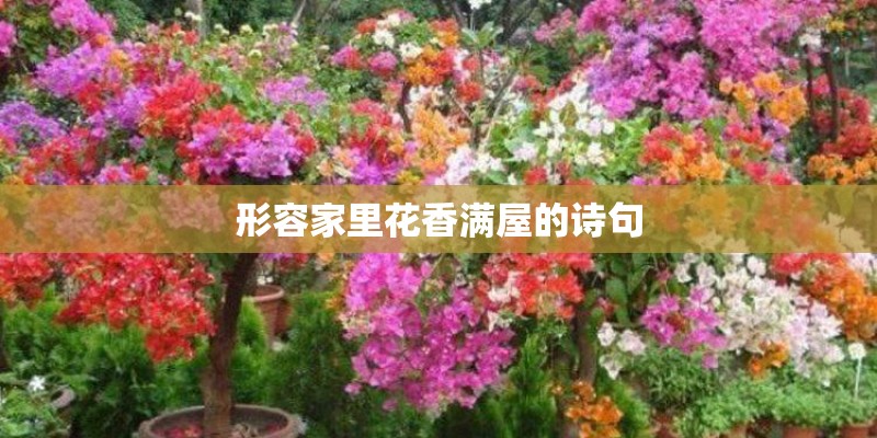 形容家里花香满屋的诗句