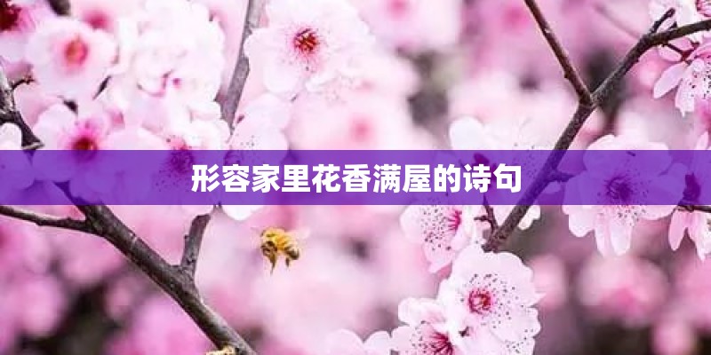 形容家里花香满屋的诗句