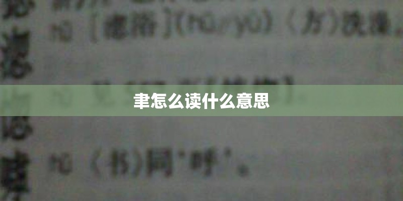 聿怎么读什么意思