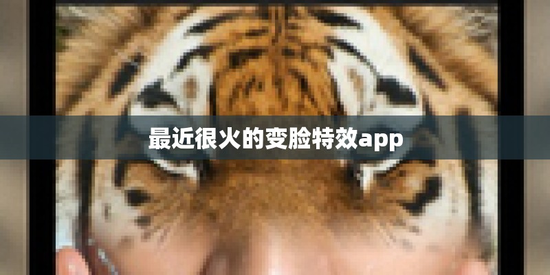 最近很火的变脸特效app
