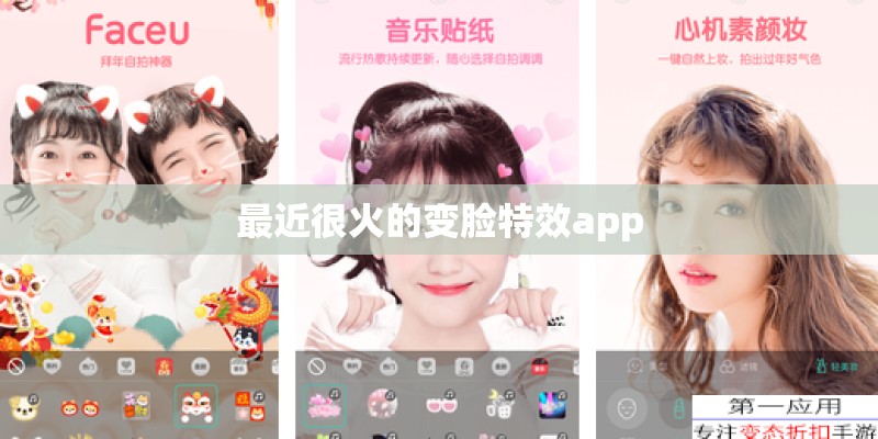 最近很火的变脸特效app