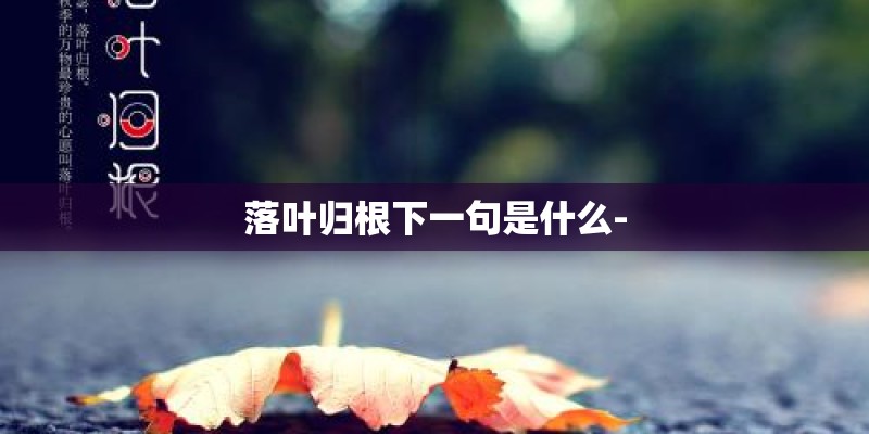 落叶归根下一句是什么-