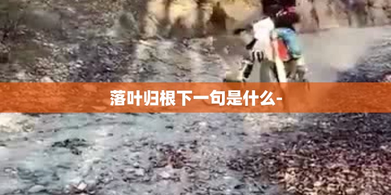 落叶归根下一句是什么-