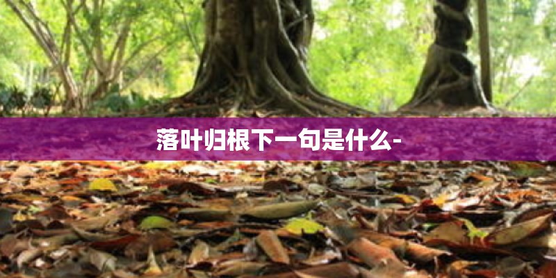 落叶归根下一句是什么-
