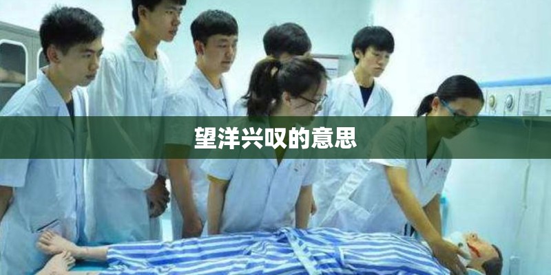 望洋兴叹的意思