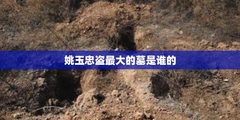 姚玉忠盗最大的墓是谁的