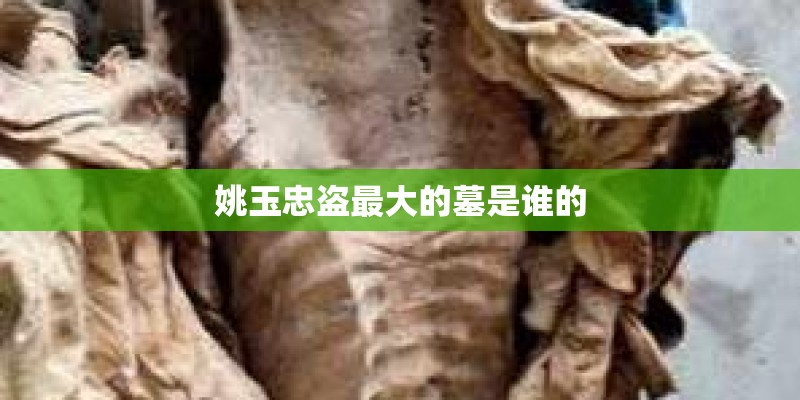 姚玉忠盗最大的墓是谁的
