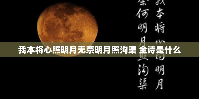 我本将心照明月无奈明月照沟渠 全诗是什么