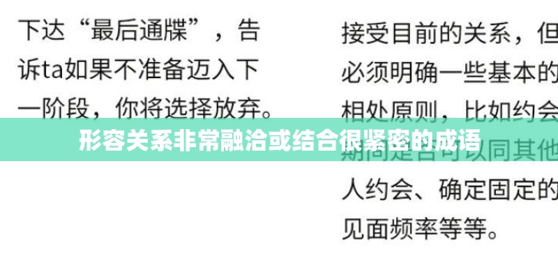 形容关系非常融洽或结合很紧密的成语