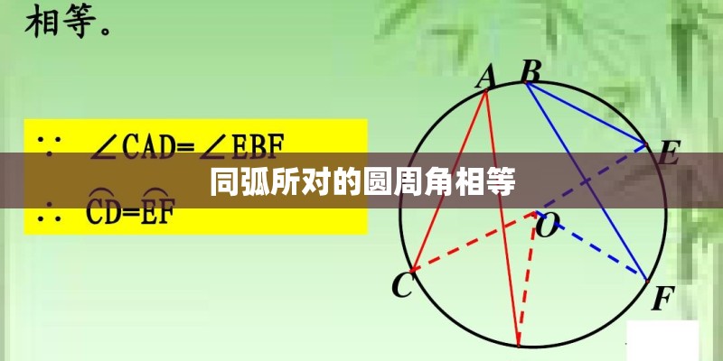 同弧所对的圆周角相等