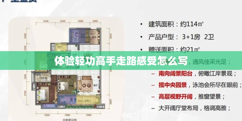 体验轻功高手走路感受怎么写
