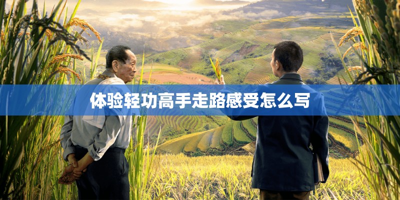 体验轻功高手走路感受怎么写