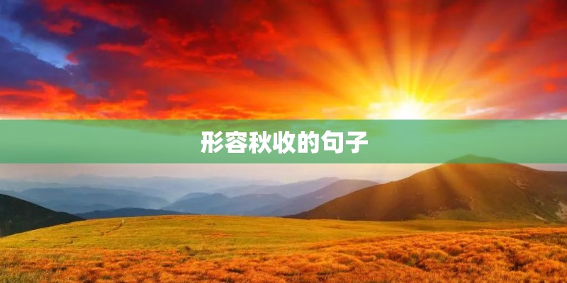 形容秋收的句子