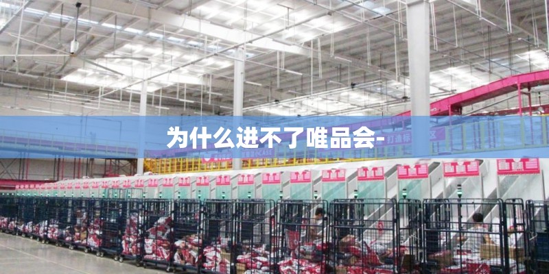 为什么进不了唯品会-