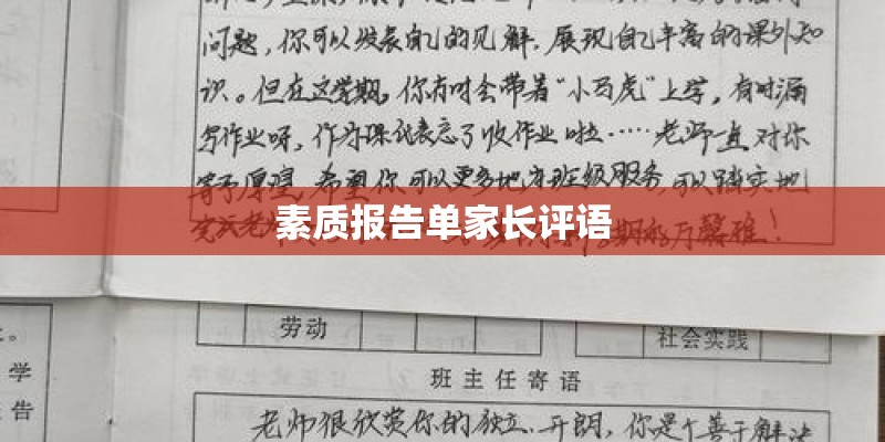 素质报告单家长评语