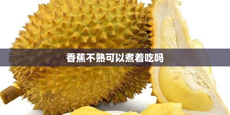 香蕉不熟可以煮着吃吗