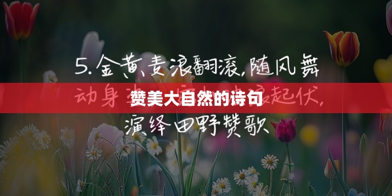 逍遥情缘手游瑶池宝石搭配