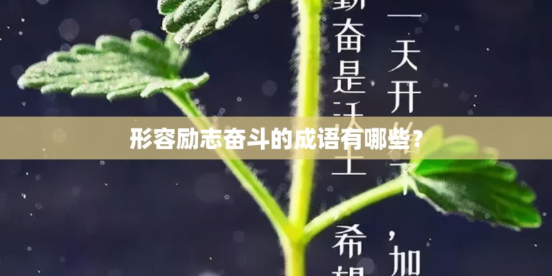 形容励志奋斗的成语有哪些？