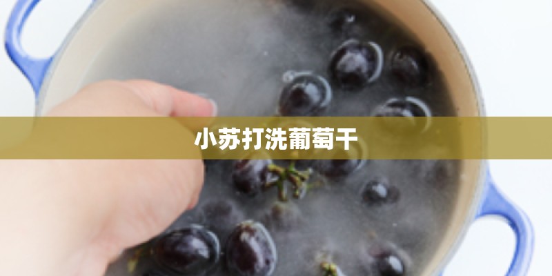 小苏打洗葡萄干