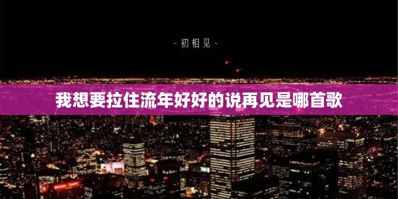 我想要拉住流年好好的说再见是哪首歌