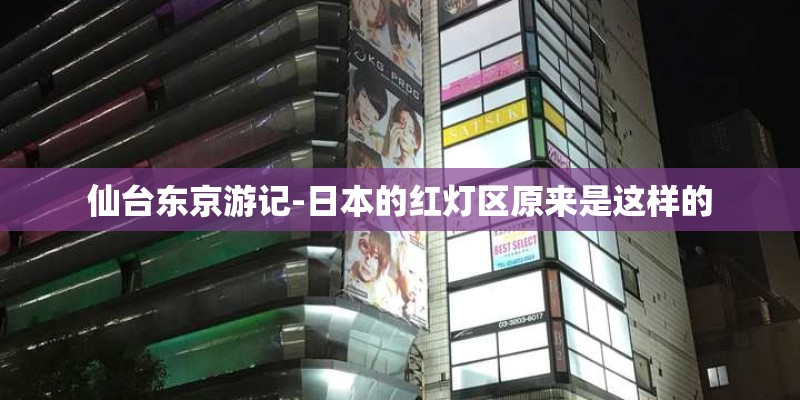 仙台东京游记-日本的红灯区原来是这样的