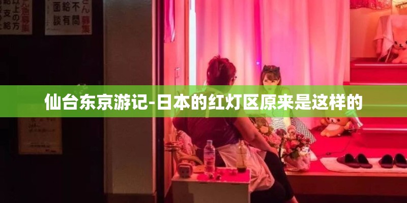 仙台东京游记-日本的红灯区原来是这样的