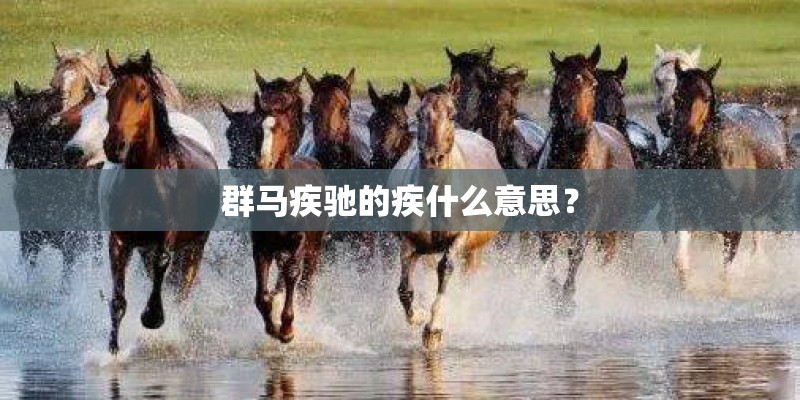 群马疾驰的疾什么意思？