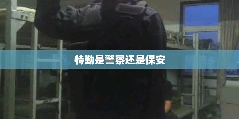 特勤是警察还是保安