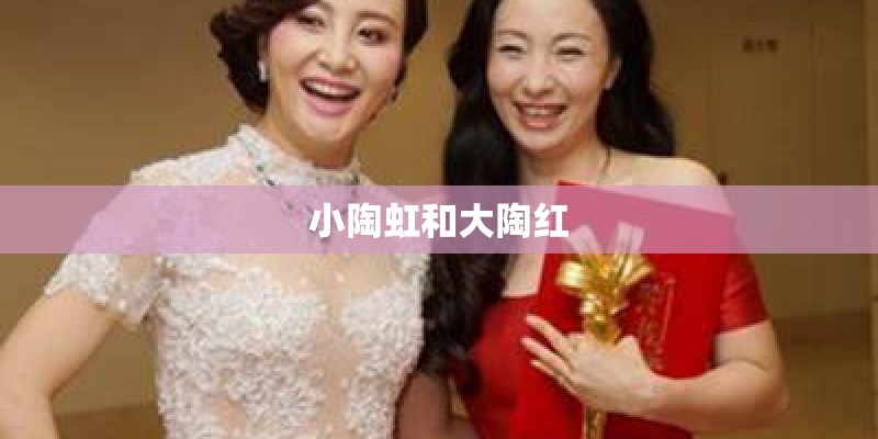 小陶虹和大陶红