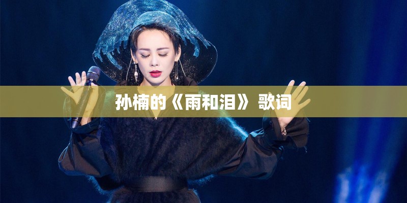 孙楠的《雨和泪》 歌词