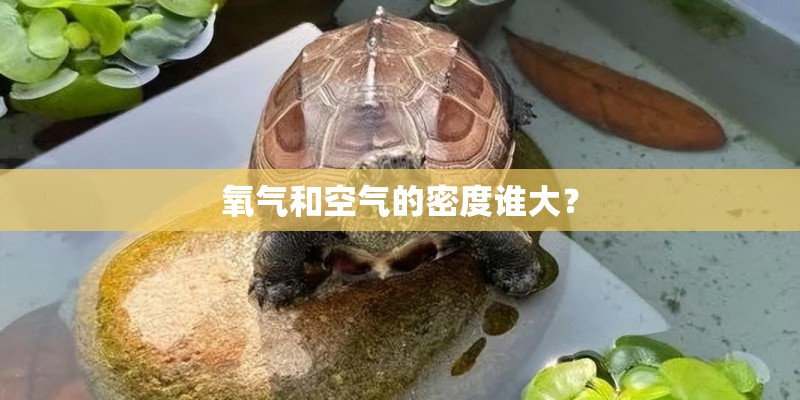 氧气和空气的密度谁大？